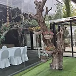 מלון Olajauregi