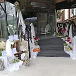 מלון Olajauregi 3*