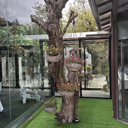 欧莱尔尤吉酒店 3* 杜兰戈