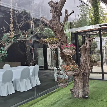 酒店 欧莱尔尤吉酒店