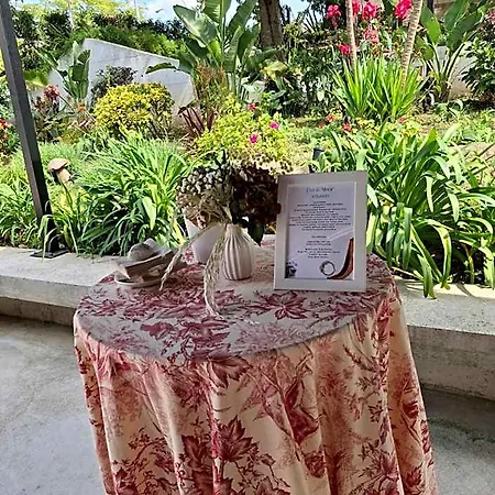 Hotel Olajauregi