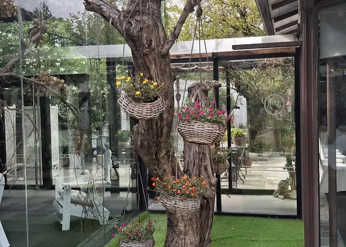 Olajauregi 3* Durango